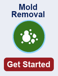 mold remediation in Grand Prairie TN